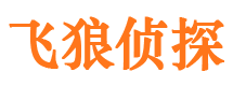 汪清寻人公司